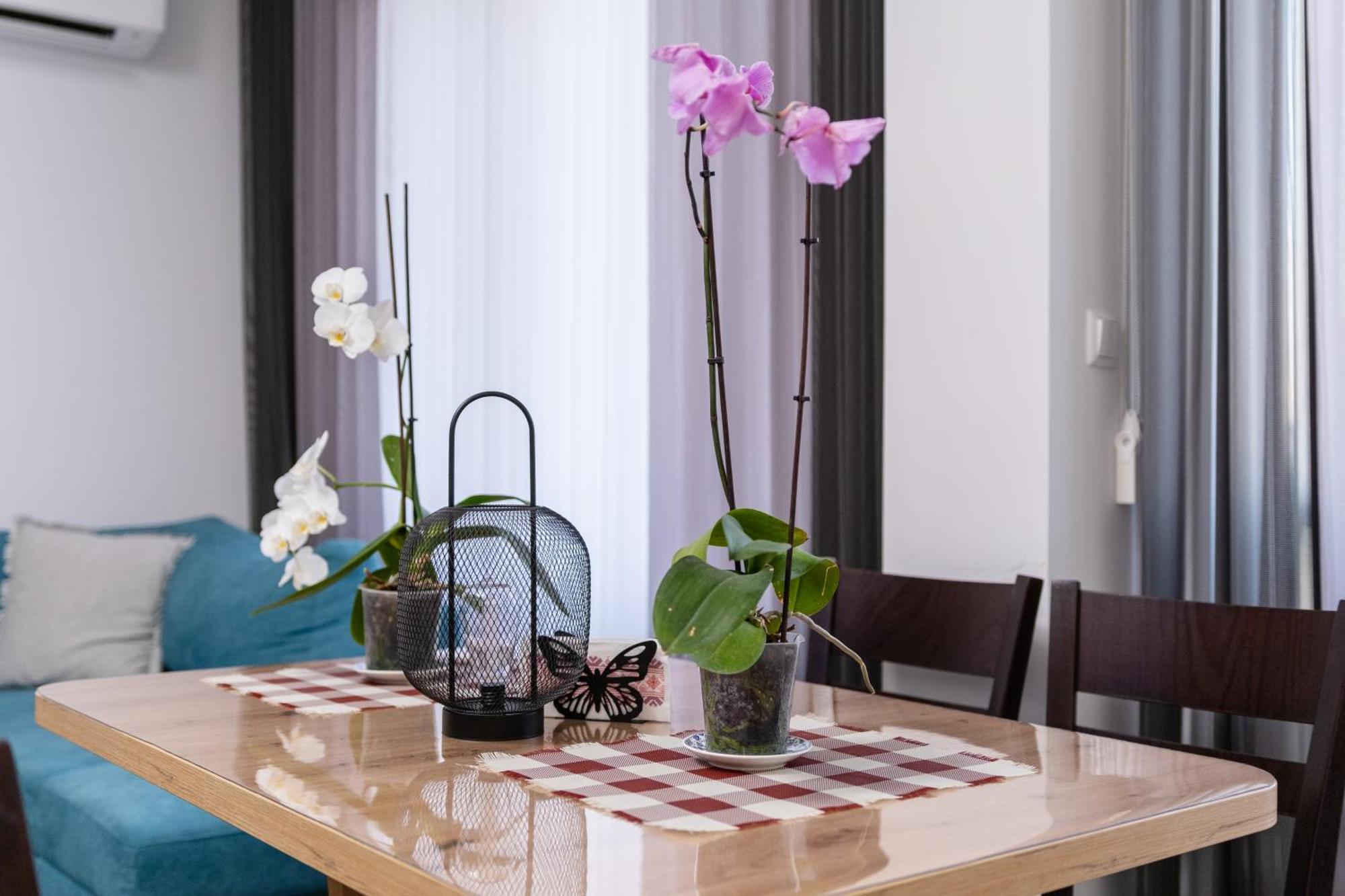 1-Bedroom Apartment With Free Private Parking Φιλιππούπολη Εξωτερικό φωτογραφία